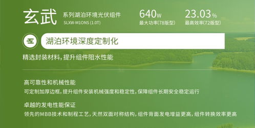 雙良新能科技超級(jí)光能系列高效光伏組件榮獲韓國(guó)工業(yè)標(biāo)準(zhǔn)KS認(rèn)證，助力銀河棉業(yè)綠色發(fā)展